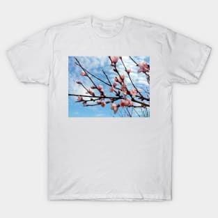 Peach Blossom T-Shirt